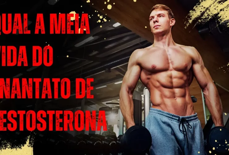Qual a meia vida do enantato de testosterona